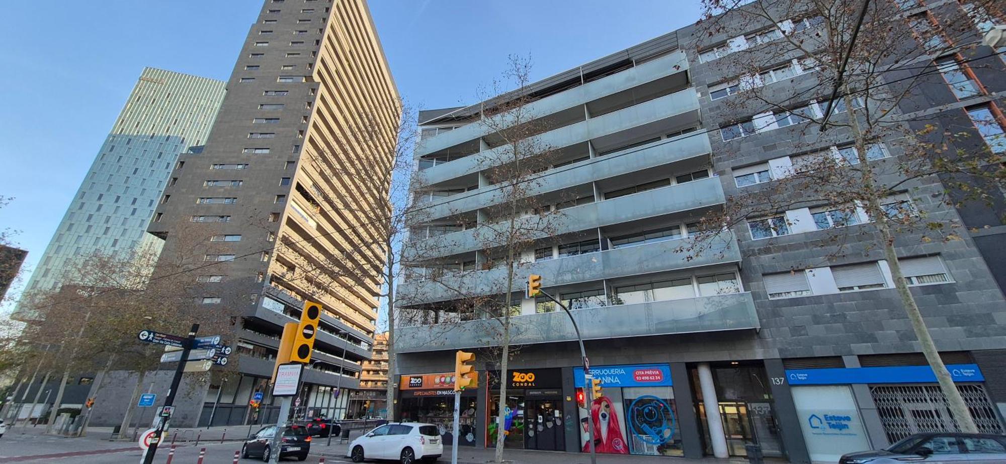 Apartamento En Avenida Diagonal - Torre Glorias - Angeles Terraza Barcelone Extérieur photo